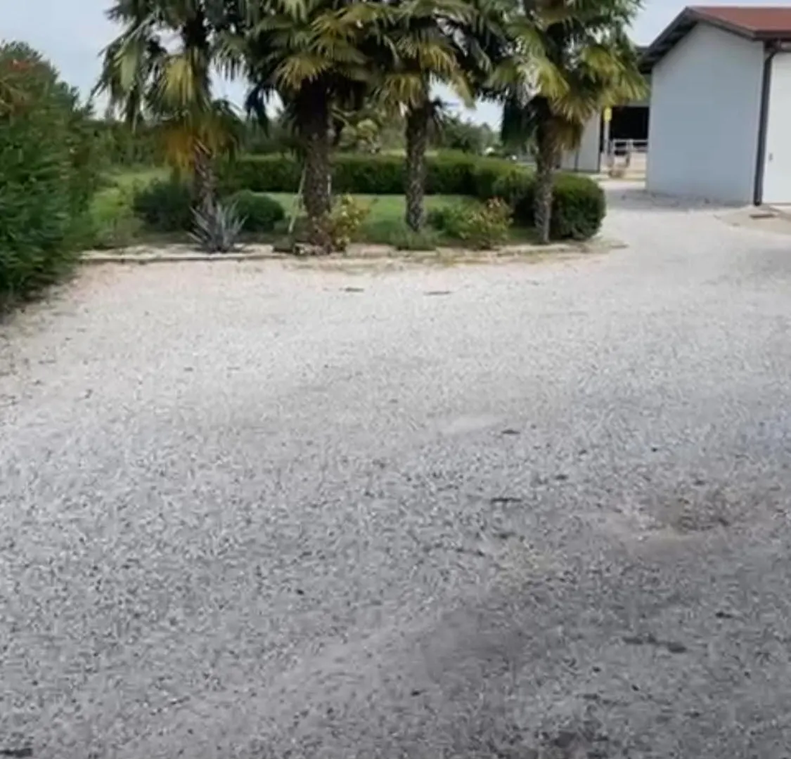 Country House La Quercia Mogliano Veneto Apartment